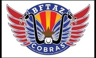 Screenshot 11cobras