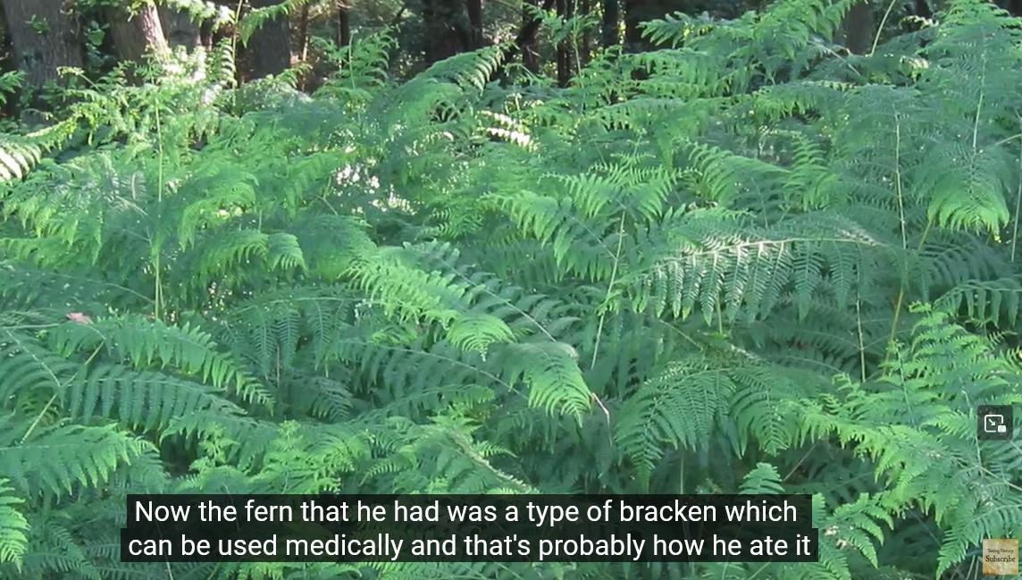 Screenshot 1bracken