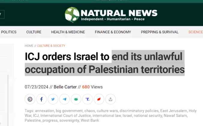 Screenshot 1icj israel us