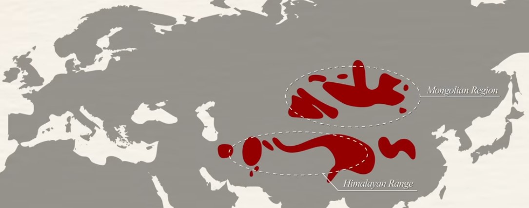 Screenshot 1pallas 2