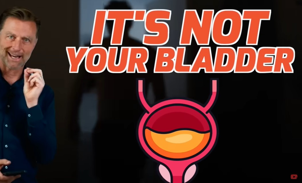 Screenshot 1pee h night