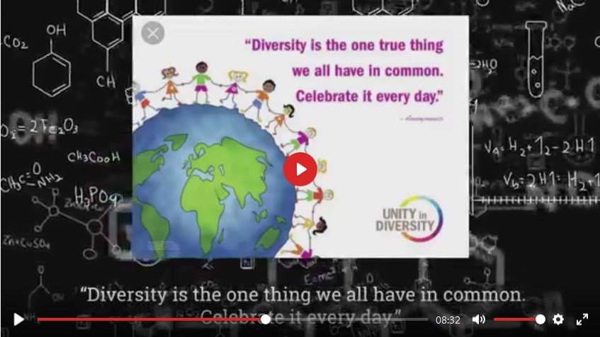 Screenshot 2diversity