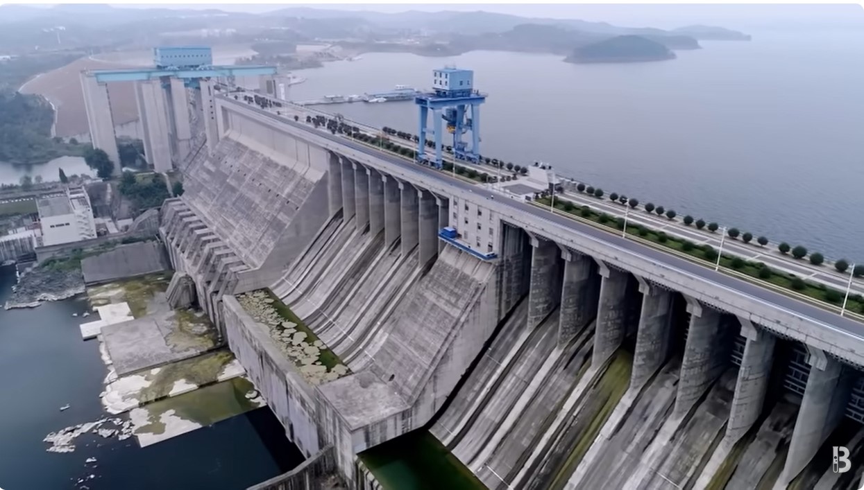 Screenshot 2trees on tams