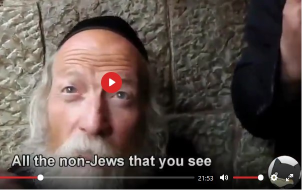 Screenshot 3all non jews are sla